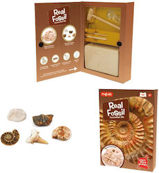 Keycraft Discover Fossils Discover Fossils Discover Fossils, +6 Years για 6+ Ετών