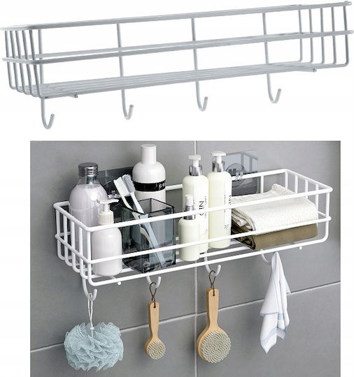Organizator Auto Alb