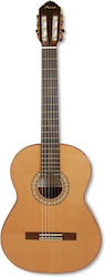 Moreno Acoustic Guitar