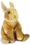 Jellycat Iepuraș de Pluș 25 cm