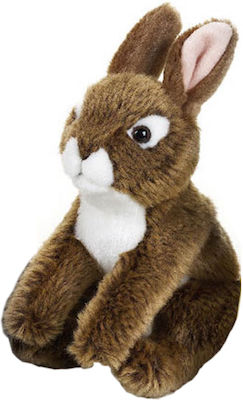 Jellycat Plush Bunny Brown 20 cm.