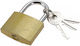 Anil Steel Padlock Γάντζος with Key 30mm Silver 1pcs