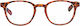Reading Glasses +3.50 in Brown color 8006
