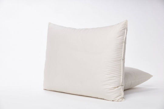 Valeria Home Pernă pentru copii 50x70buc
