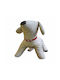 Value Imports Dog Collar in Red color