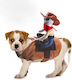 Animal Ganzkörperbekleidung für Hunde 18cm Cowboy-Kostüm