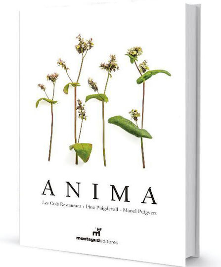 Anima