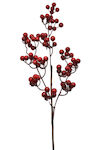 Cb cases Christmas Decorative Branch