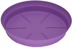 11027008 Round Plate Pot Purple