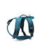 Record Dog Harness Light Blue Medium 3111.3B