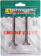 W Standard Motorcycle Intake & Exhaust Valves Yamaha T 50