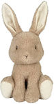 Plush Bunny 25 cm