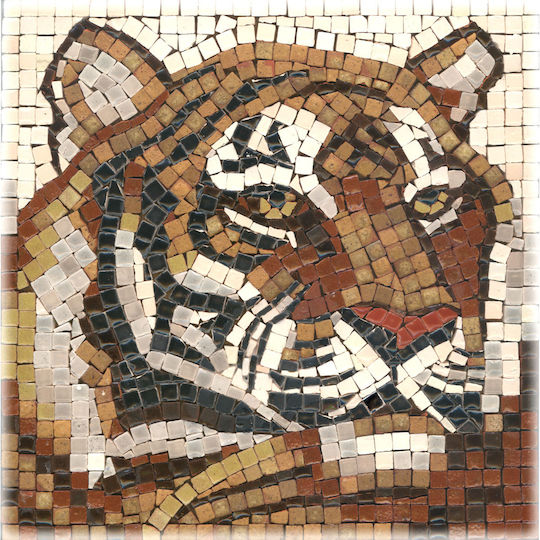 Alea Mosaik Diy Kunst Set Quadrat mit authentischen Fliesen 15x15cm Tiger 203010 Neu