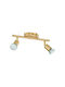 Eglo Double Spot with Socket GU10 in Bronze Color