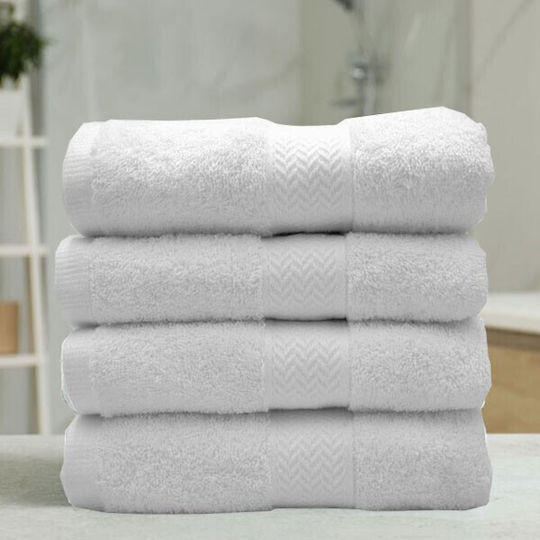 SpitiBazaar Cosy