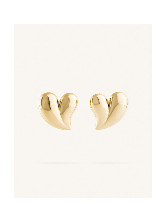 StanStefan Earrings from Steel Gold Plated