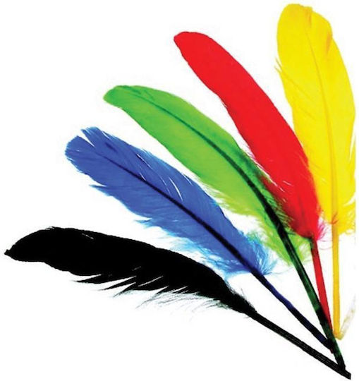 Next Craft Feathers Set of 12pcs