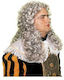 Carnival Judge Wig 10220