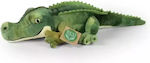 Rappa Plush Crocodile 34 cm