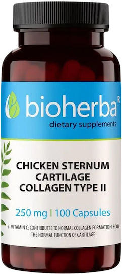 Bioherba Chicken Collagen Type Ii 250мг 100 капси