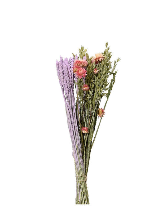 Kaemingk Dried Plant Pink 55cm 1pcs