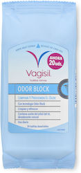 Vagisil Vaginesil Tücher Geruchsblocker 20 Einheiten