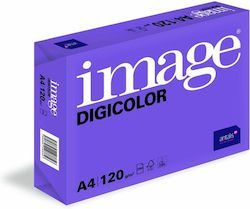 Paper A4 120gr/m² 250 sheets 531777