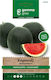 Gemma Seeds Watermelon 2gr