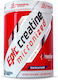 Immortal Nutrition Epic Creatine Μικρονισμένη Μονοϋδρική Κρεατίνη 5000mg Blackcurrant 500gr