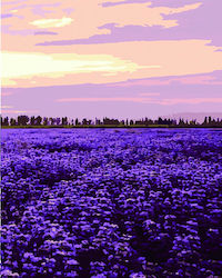 South Of France Seturi de colorat