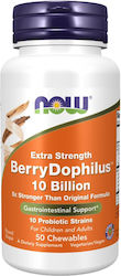 Now Foods Berrydophilus 10 Billion 50 жулими таблетки Now Foods Berrydophilus 10 Billion 50 жулими таблетки