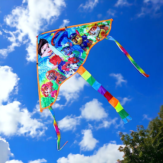 Triunghiular Kite cu Coada & Sfoară 43x80cm 1buc