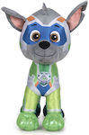 Plüsch Paw Patrol Rocky 27 cm 8425611386558