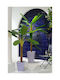 Arbore Artificial de Exterior Musa Green 230cm Interni Oggi