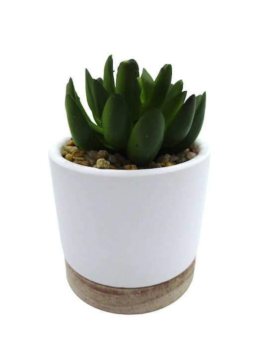 Marva Artificial Plant in Small Pot 12cm 1pcs