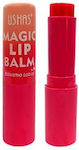 Polihome Lip Care 3gr