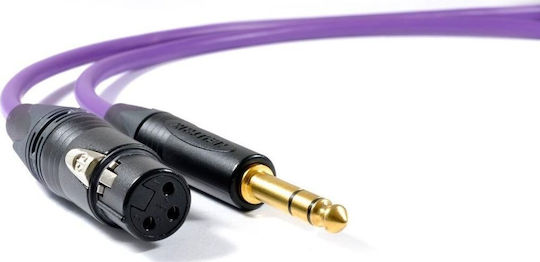 Melodika Cable XLR female - 6.3mm male Μωβ 17m
