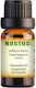 Nostos Pure Grapefruit Essential Oil Grapefruit 100ml