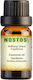Nostos Pure Αιθέριο Έλαιο Γαρδένια 100ml