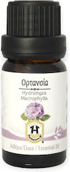 Hydrangea Essential Oil