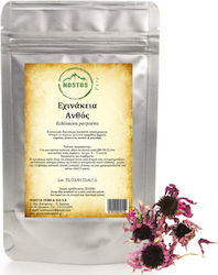 Nostos Pure Echinacea 500gr