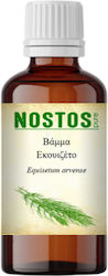 Nostos Pure Tincture Equisetum Arvense 100ml