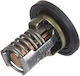 Mercury Termostat