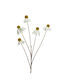 Kaemingk Artificial Decorative Branch Daisy White 1pcs