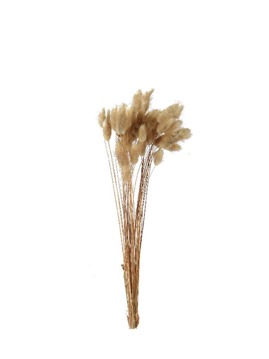 Kaemingk Dried Plant Beige 65cm