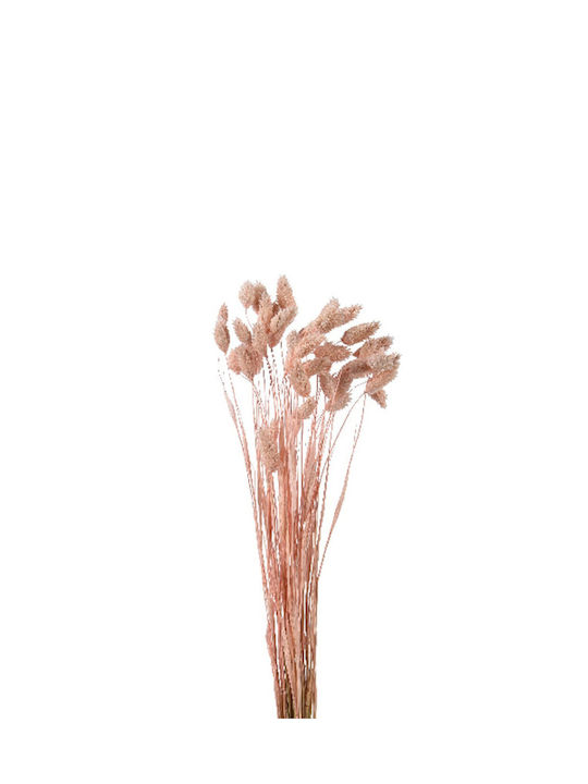 Kaemingk Dried Plant Purple 65cm