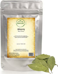 Nostos Pure Δάφνη