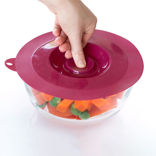 Lid for Storage Container made of Silicone 21cm C03G0070649 1pcs