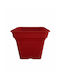 Micplast Daiquiri Γλάστρα Πλαστική Μπορντω 30x30x26εκ.