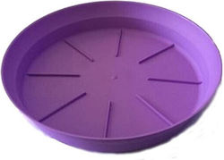 Micplast 70 Teller Topf Purple 15x15cm